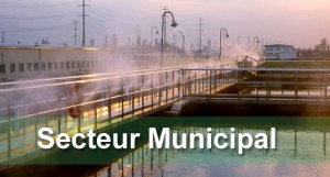 Municipal Sector